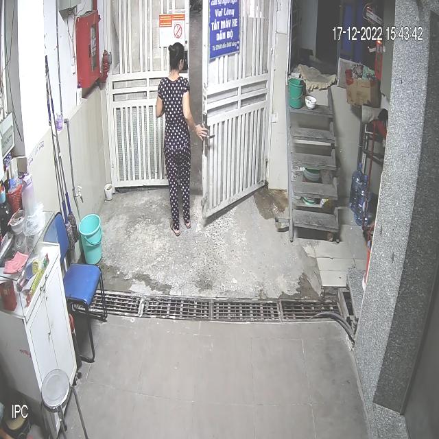 Dataset Image