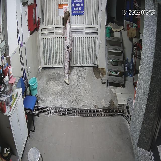 Dataset Image