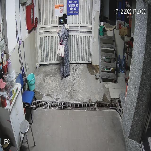 Dataset Image