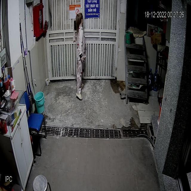 Dataset Image