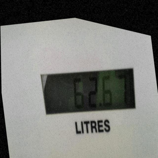 Dataset Image