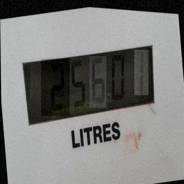 Dataset Image