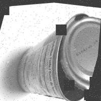 Dataset Image