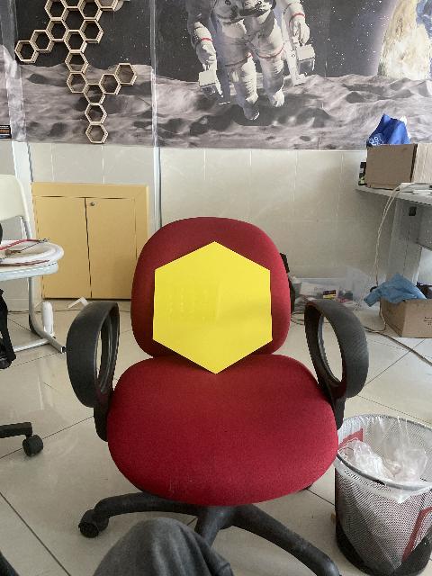 Dataset Image