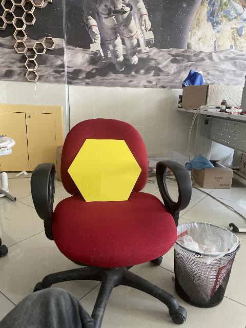 Dataset Image