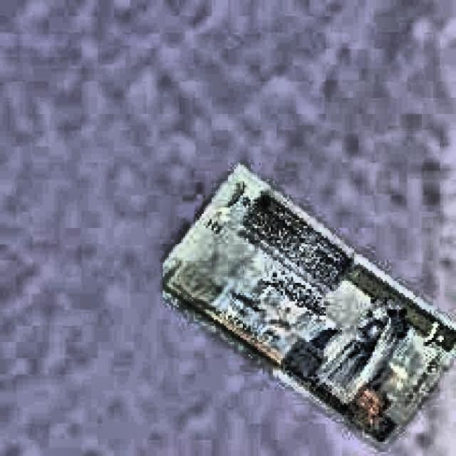 Dataset Image