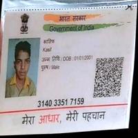 Dataset Image