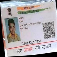 Dataset Image