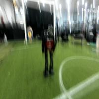 Dataset Image
