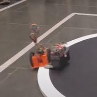 Dataset Image