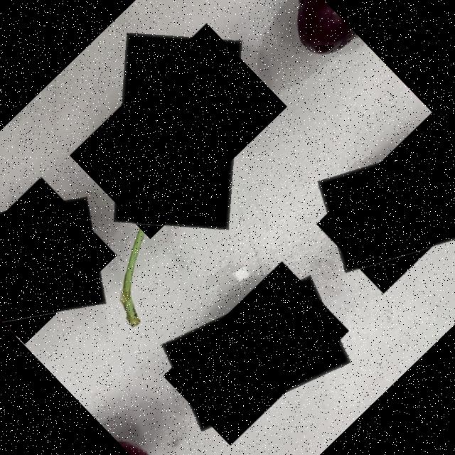 Dataset Image