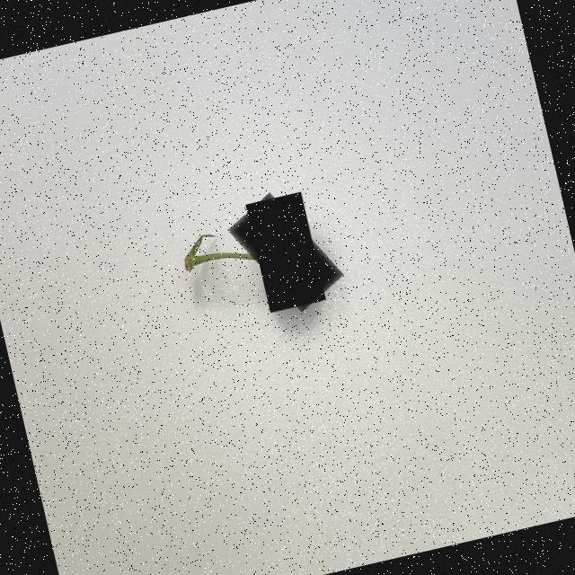 Dataset Image