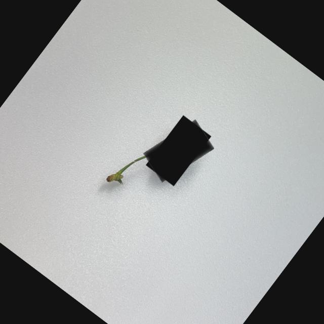 Dataset Image