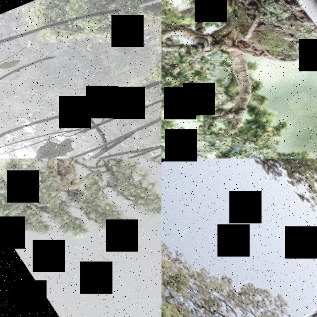 Dataset Image