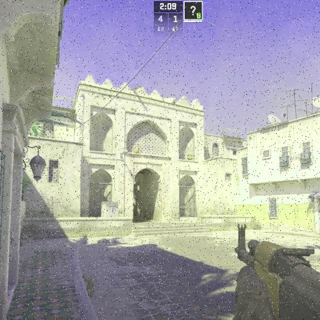 Dataset Image