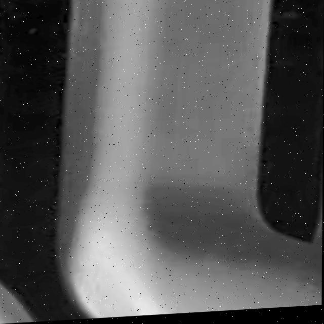 Dataset Image