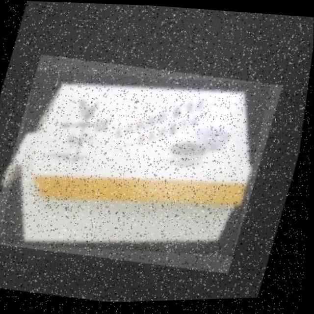 Dataset Image