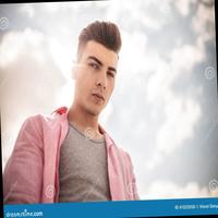 Dataset Image
