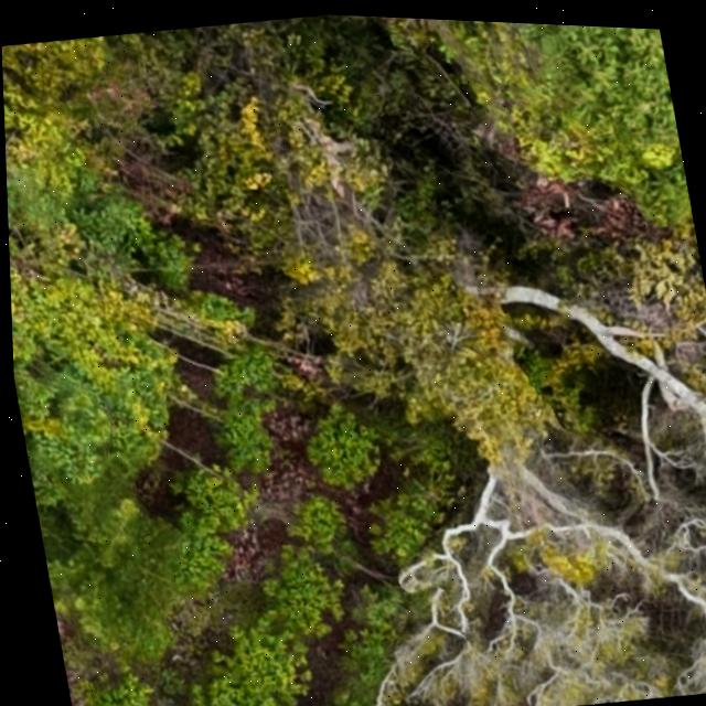 Dataset Image