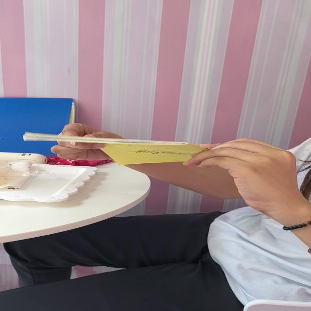 Dataset Image