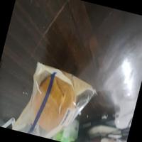 Dataset Image