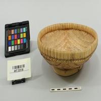 Dataset Image