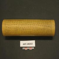 Dataset Image