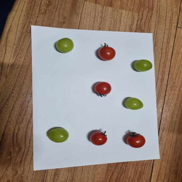 Dataset Image