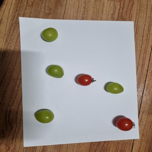Dataset Image