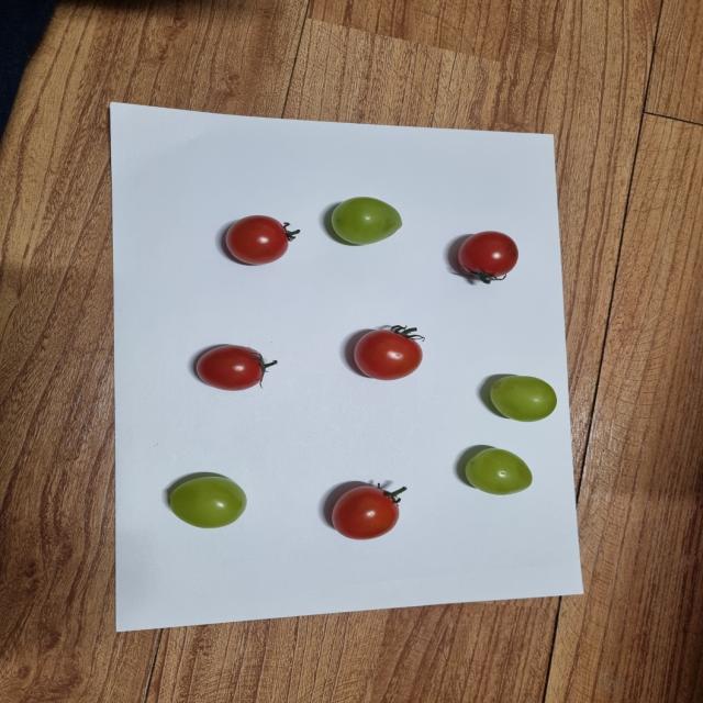 Dataset Image