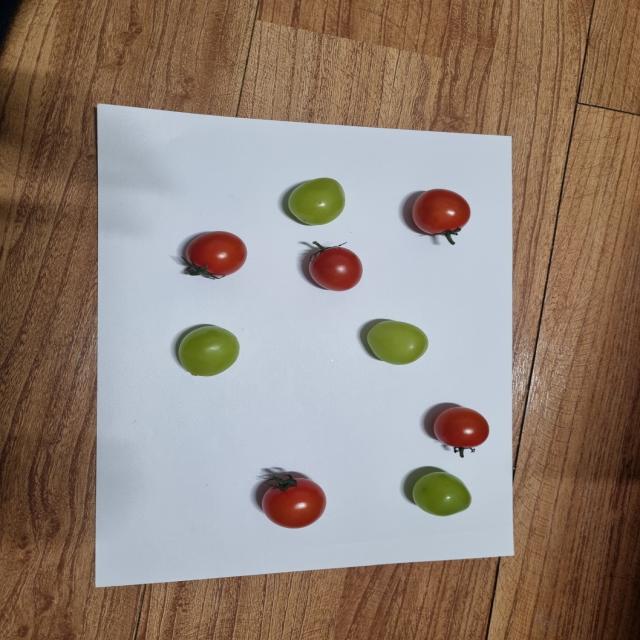 Dataset Image