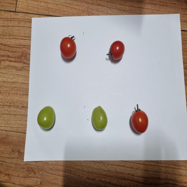 Dataset Image