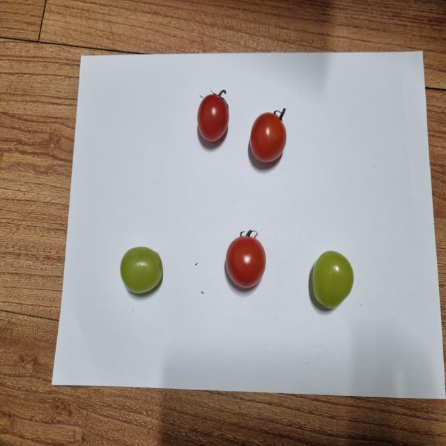 Dataset Image