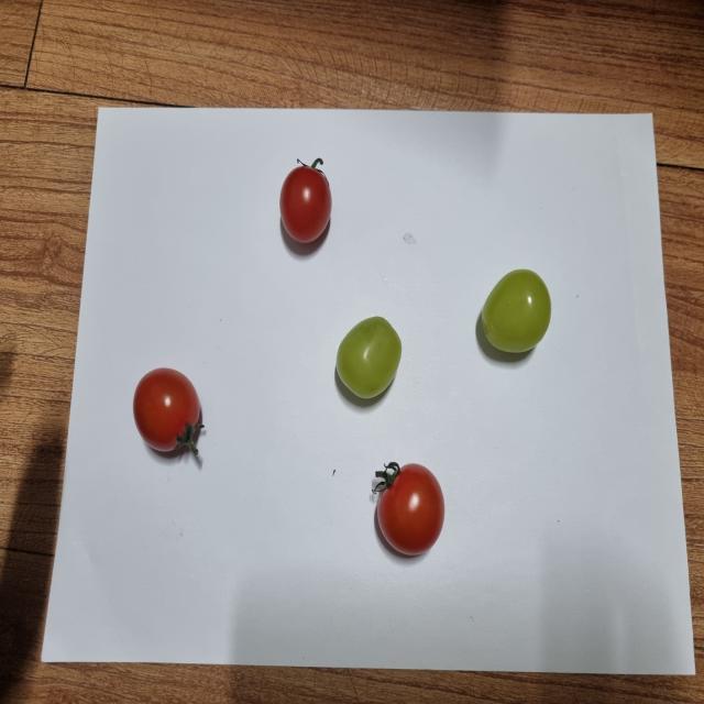 Dataset Image