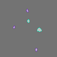 Annotation Visualization