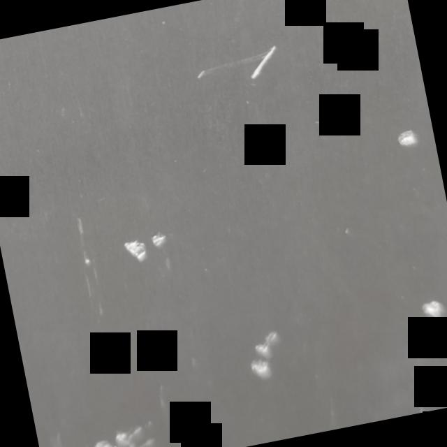 Dataset Image