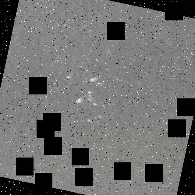 Dataset Image