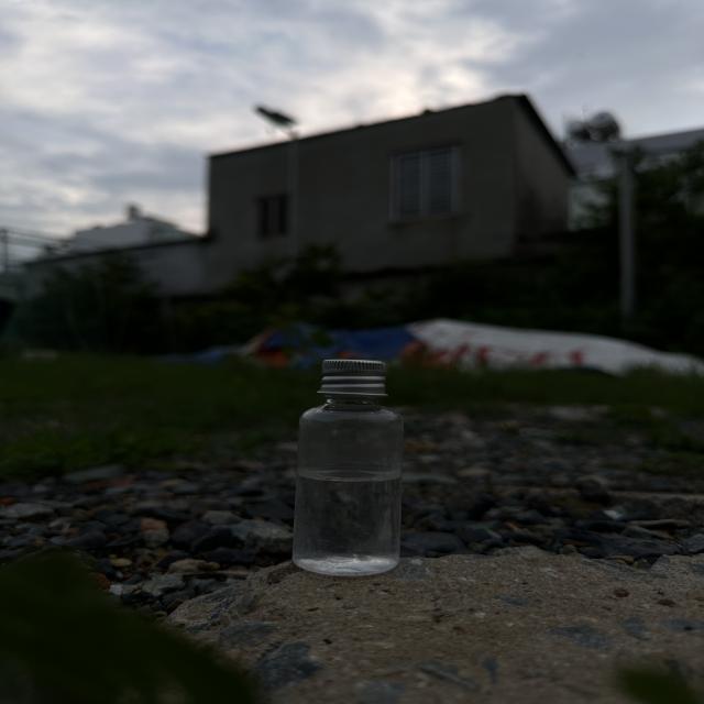 Dataset Image