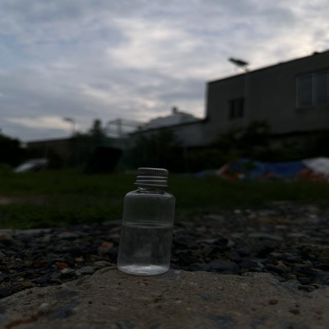 Dataset Image