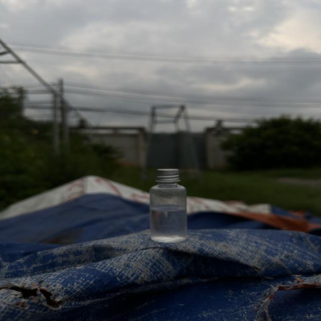 Dataset Image