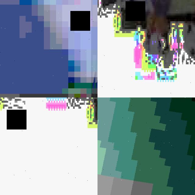 Dataset Image