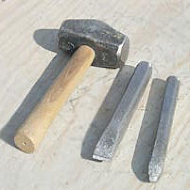 Dataset Image