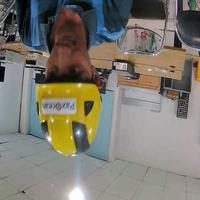 Dataset Image