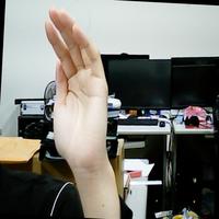 Dataset Image