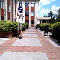 Dataset Image