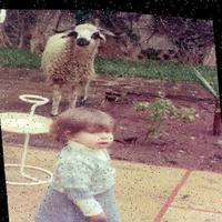 Dataset Image