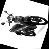 Dataset Image