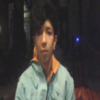 Dataset Image