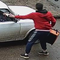 Dataset Image