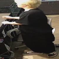 Dataset Image